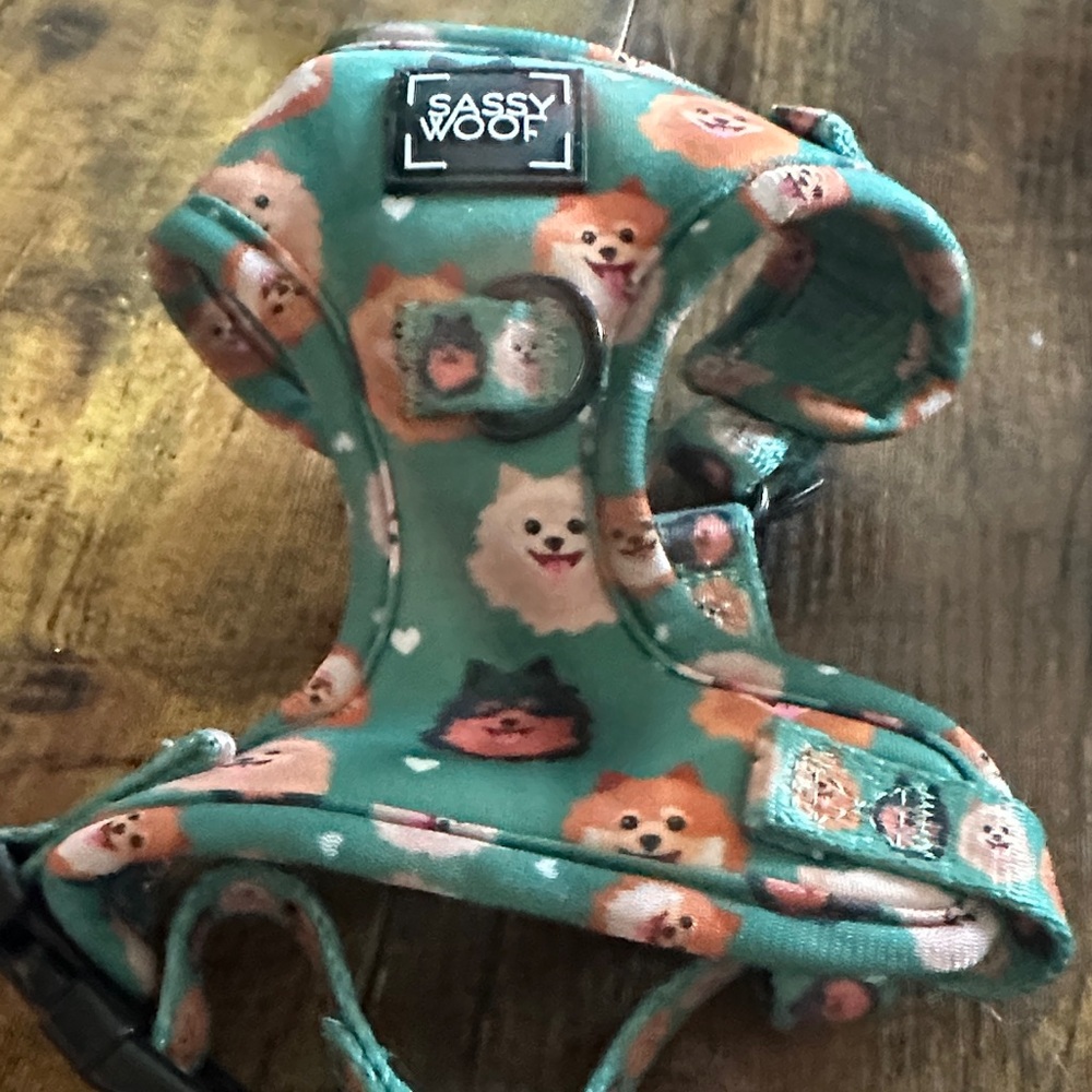 Sassy Woof Dog Harness - Green with Pomeranian Print